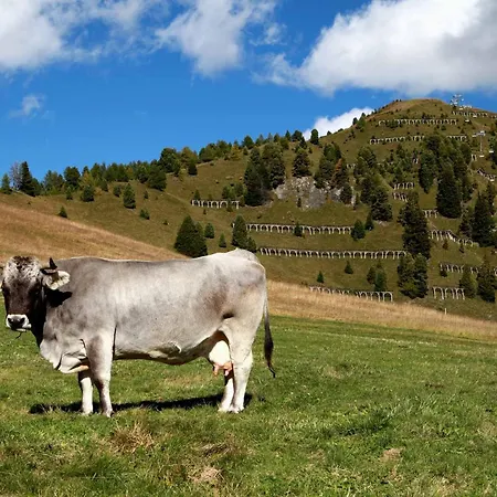 Goetznerhof - Self-check-in Hotell Innsbruck