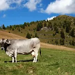 Goetznerhof - Self-check-in Hotel Innsbruck